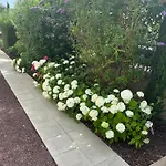 Bel Centre Climatise Parking Prive * Κολμάρ