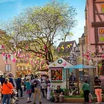 Bel Centre Climatise Parking Prive Apartment Colmar