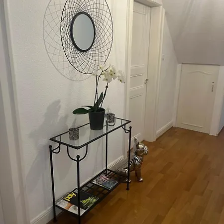 Apartment Bel Centre Climatise Parking Prive Colmar
