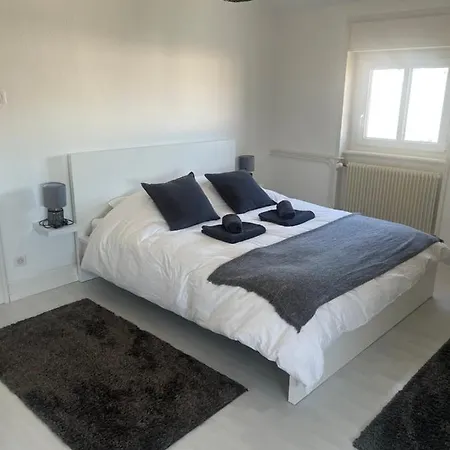 Bel Centre Climatise Parking Prive Apartment