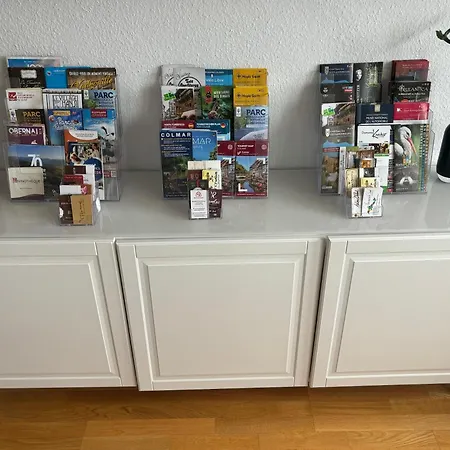 Bel Centre Climatise Parking Prive Apartment Colmar