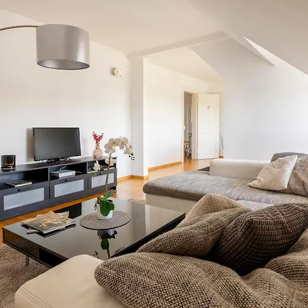 Bel Centre Climatise Parking Prive コルマール