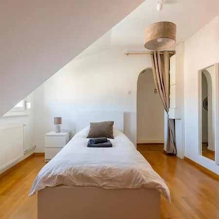 Bel Centre Climatise Parking Prive * コルマール