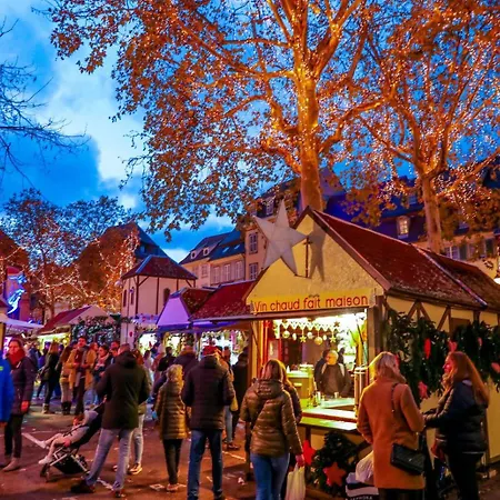 Bel Centre Climatise Parking Prive Кольмар