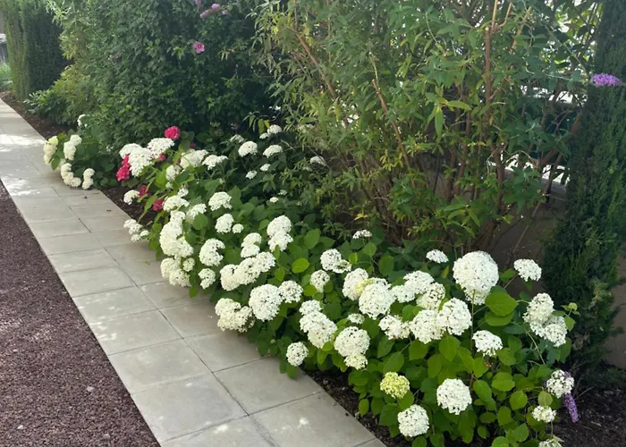 Bel Centre Climatise Parking Prive * 科尔马