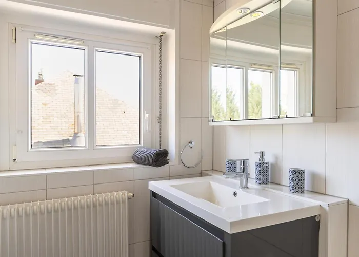 Bel Centre Climatise Parking Prive * Кольмар