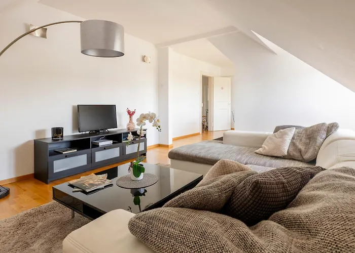 Bel Centre Climatise Parking Prive 科尔马