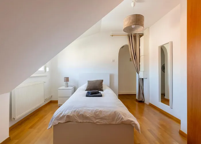 Bel Centre Climatise Parking Prive * 科尔马