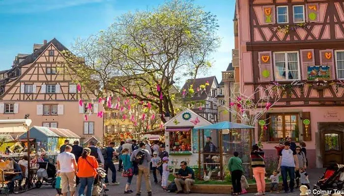 Bel Centre Climatise Parking Prive 公寓 科尔马