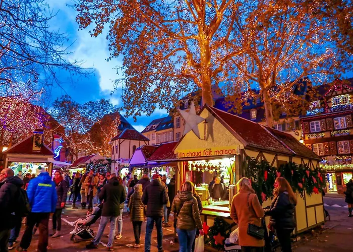 Bel Centre Climatise Parking Prive Кольмар